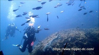 20240908堂ヶ島 - frame at 3m53s-001.jpg