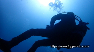 P1242047-001.JPG