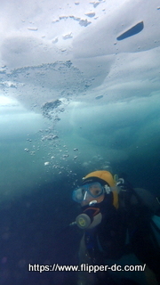 P2202680-001.JPG