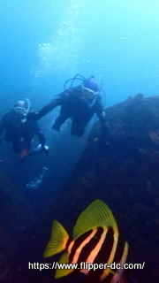 P3233455-001.JPG