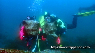 P4015499-001.JPG
