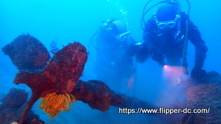 P4043718-001.JPG