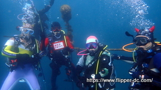 P4133951-001.JPG