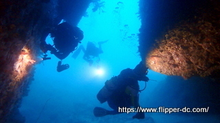 P4144039-001.JPG