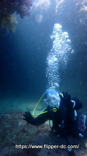 P5298145-001.JPG
