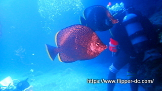 P7206347-001.JPG