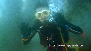 P7284765 - frame at 0m0s-001.jpg