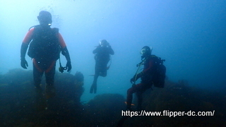 P7302847-001.JPG