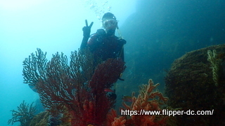 P7302866-001.JPG