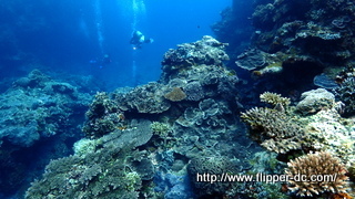 P8231224.JPG
