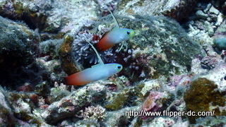 P8231246.JPG