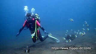 P9242201 - frame at 0m12s-001.jpg