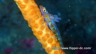 PB039089-001.JPG
