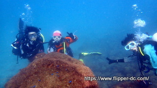 PB075790-001.JPG