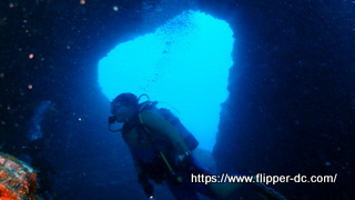 PB112638-001.JPG