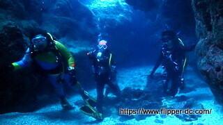 PB112694-001.JPG