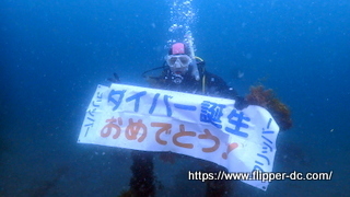 P4202628-001.JPG